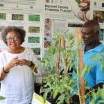 CWA in St. Vincent and the Grenadines - SG at CARDI booth
