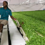 CWA in The Bahamas 2023 - Farm tour